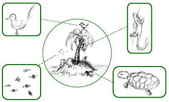 Faune (biologie) — Wikipédia