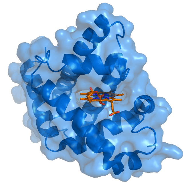 Ligand (biochemistry) - Wikipedia