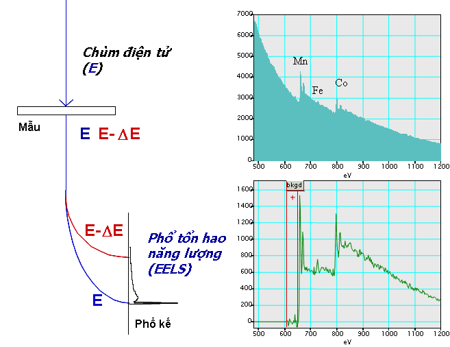 Spectroscopie de perte d'énergie des électrons — Wikipédia