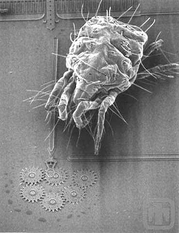 Micromachinery - Wikipedia