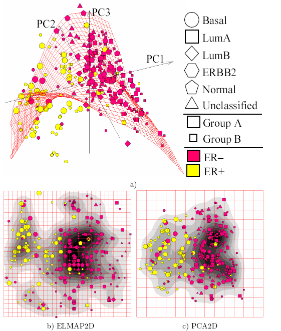 Elastic map - Wikipedia