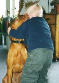 Animal-assisted therapy - Wikipedia