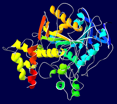 Cholinestérase — Wikipédia