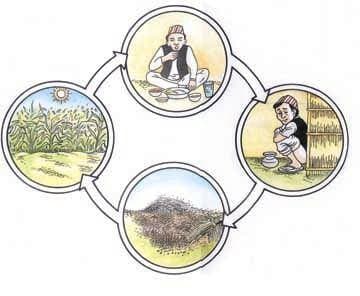 Assainissement écologique — Wikipédia