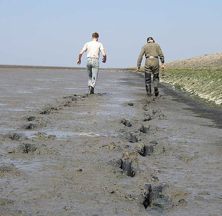 Slikke — Wikipédia