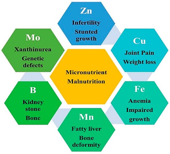 Micronutrient - Wikipedia