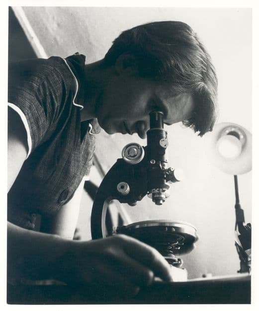 Rosalind Franklin — Wikipédia