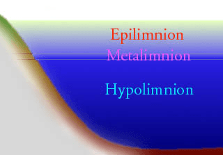 Hypolimnion — Wikipédia