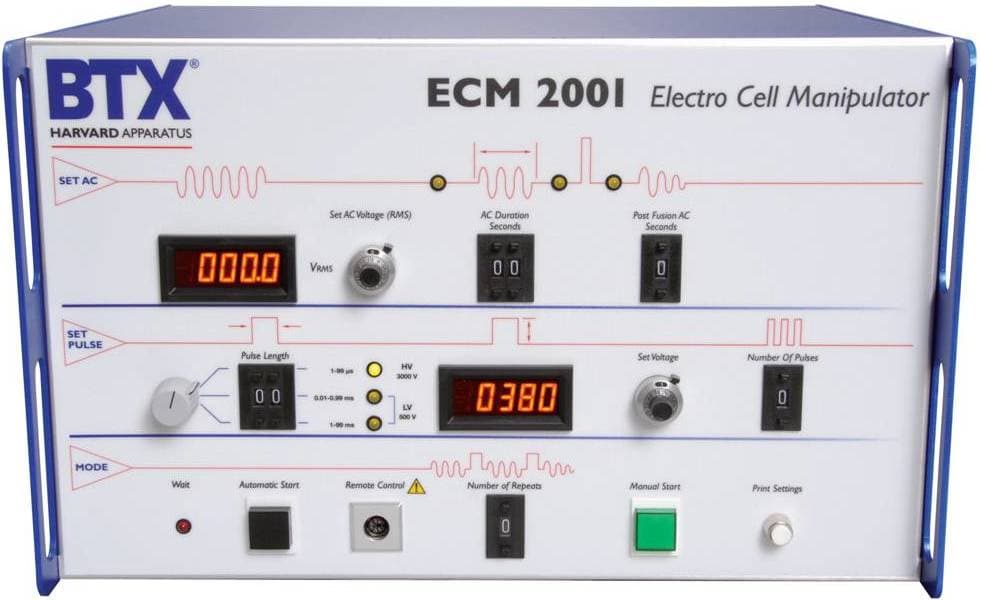 Transfert de noyau — Wikipédia