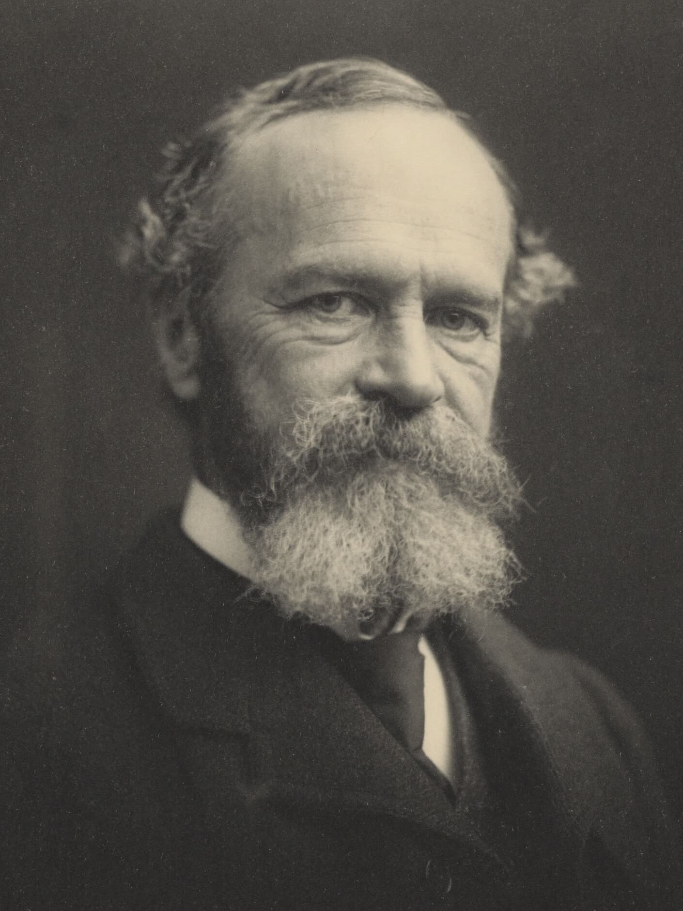 William James - Wikipedia