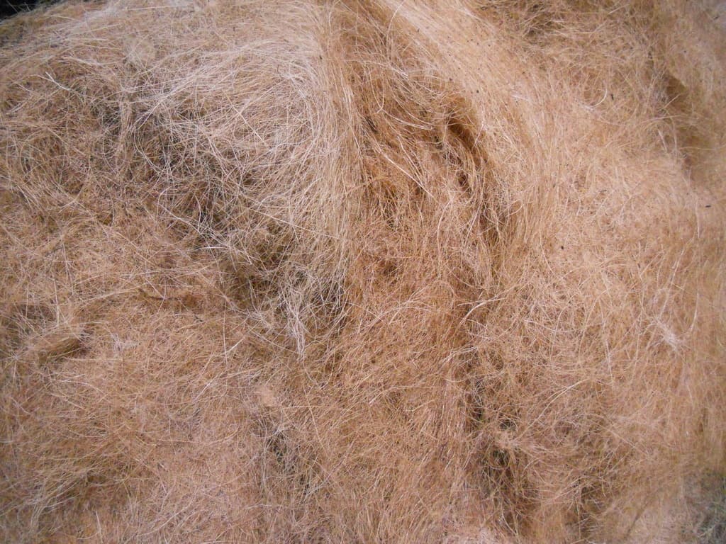 Coir - Wikipedia
