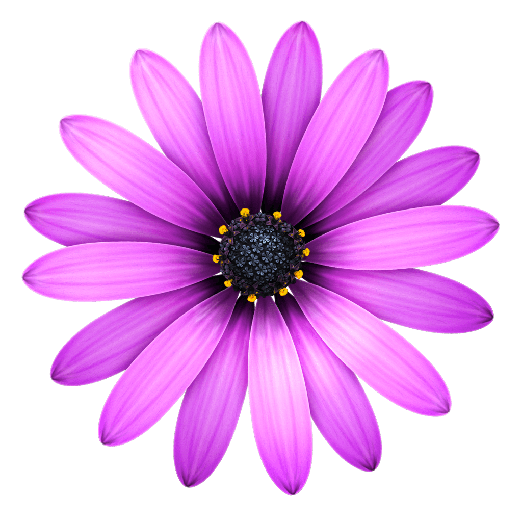 TextMate - Wikipedia