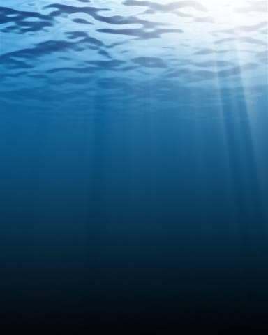 Free surface - Wikipedia