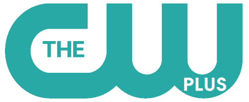 Broadcast syndication - Wikipedia