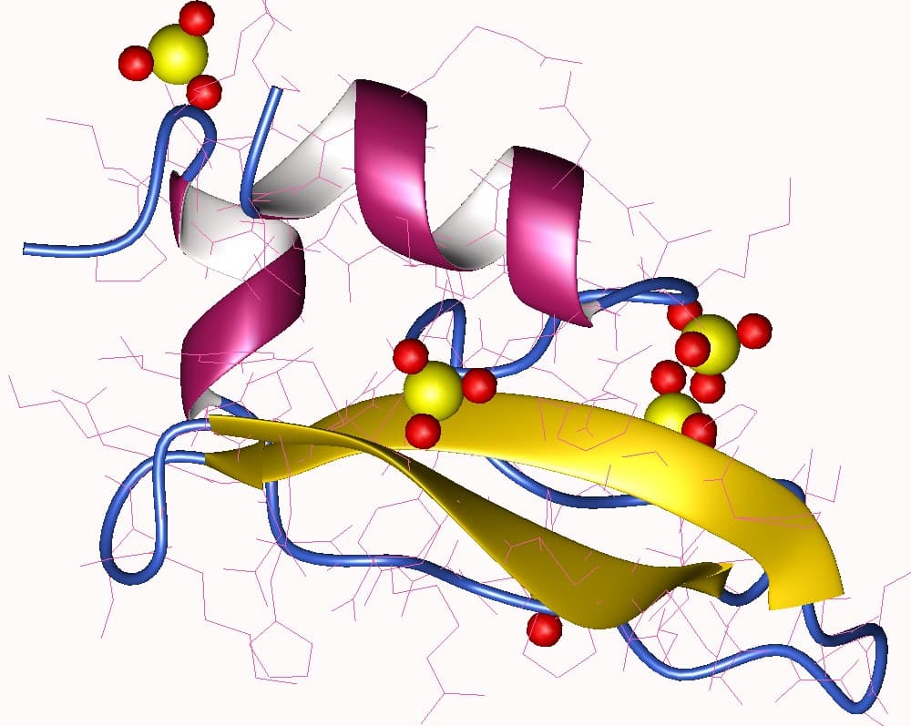 Dendrotoxine — Wikipédia
