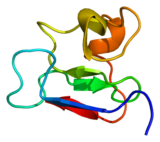 Promyelocytic leukemia protein - Wikipedia