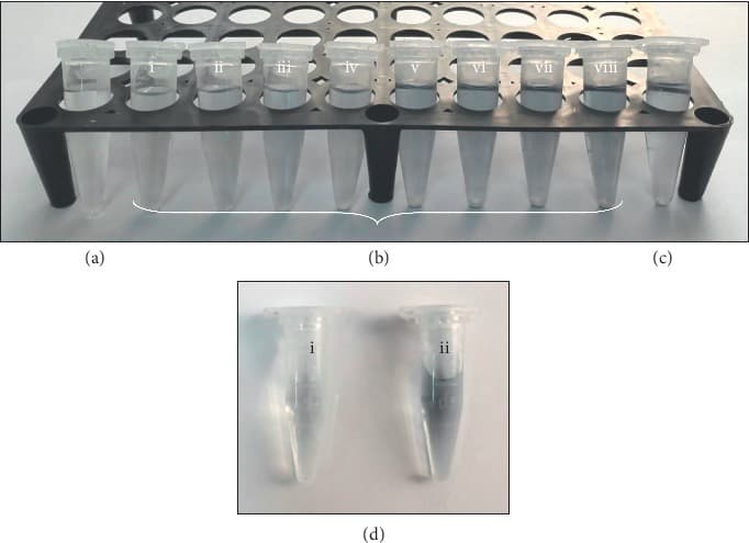 Lowry protein assay - Wikipedia