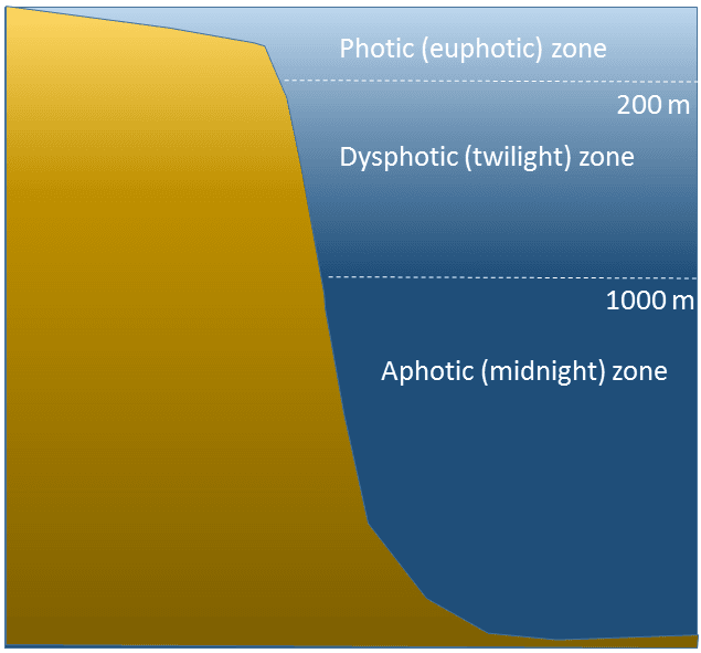 Zone aphotique — Wikipédia