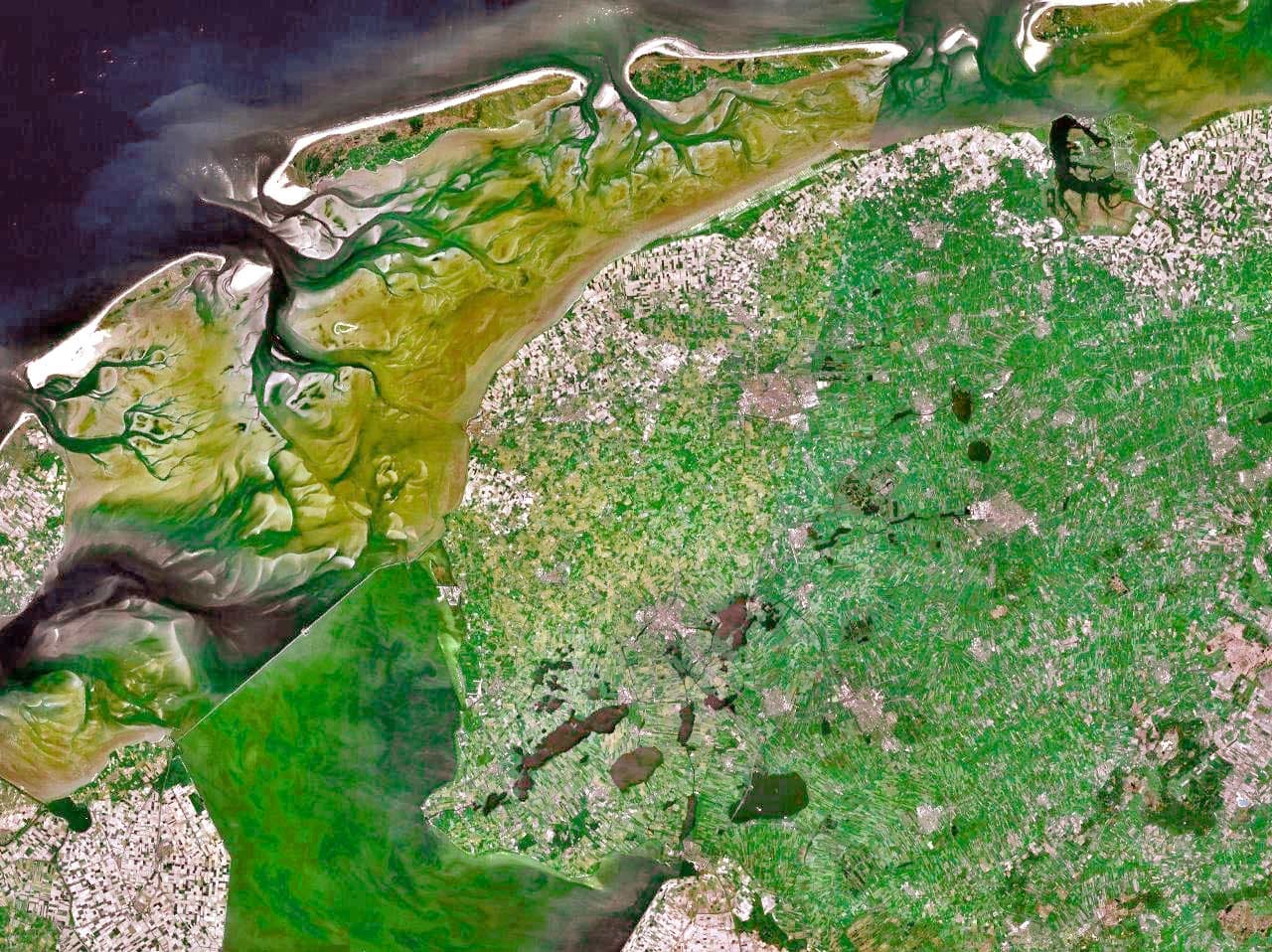 Marais maritime — Wikipédia