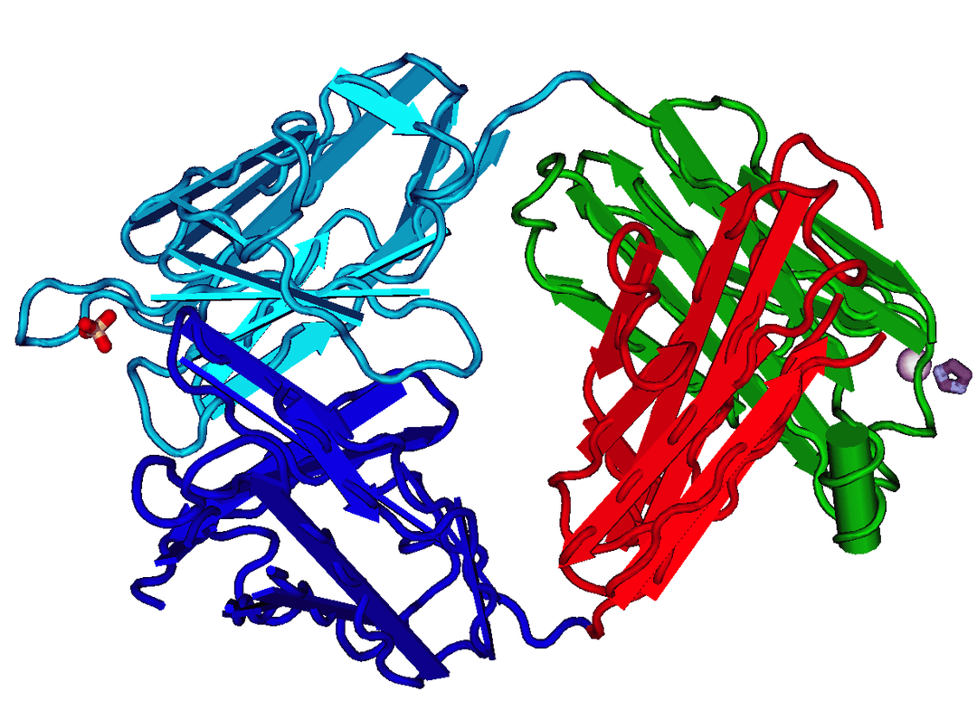Fragment antigen-binding region - Wikipedia