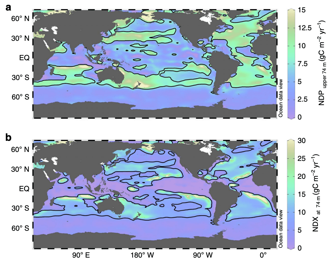 Carbone organique dissous — Wikipédia