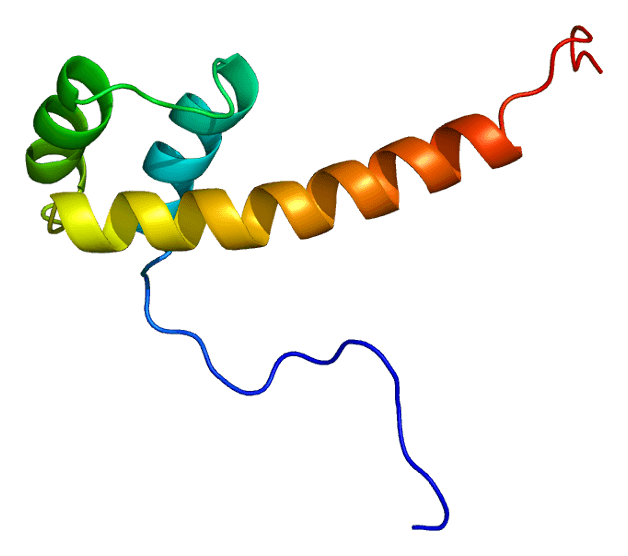 Pax6 — Wikipédia