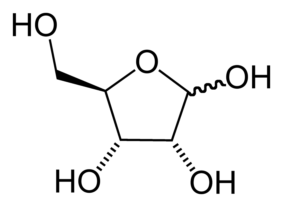 Ribose — Wikipédia