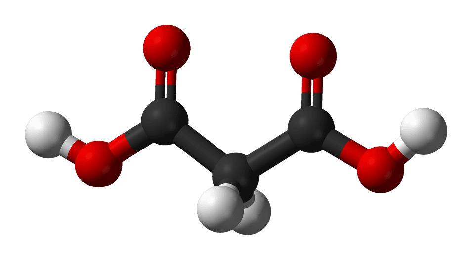 Acide malonique — Wikipédia