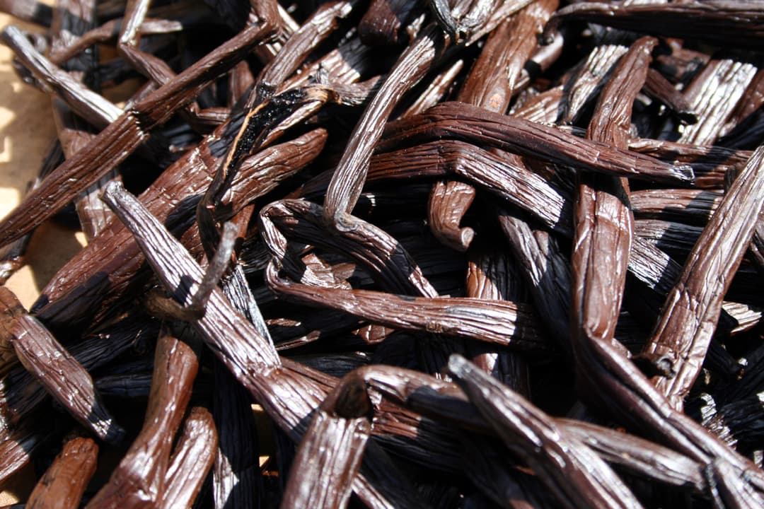 Vanille — Wikipédia