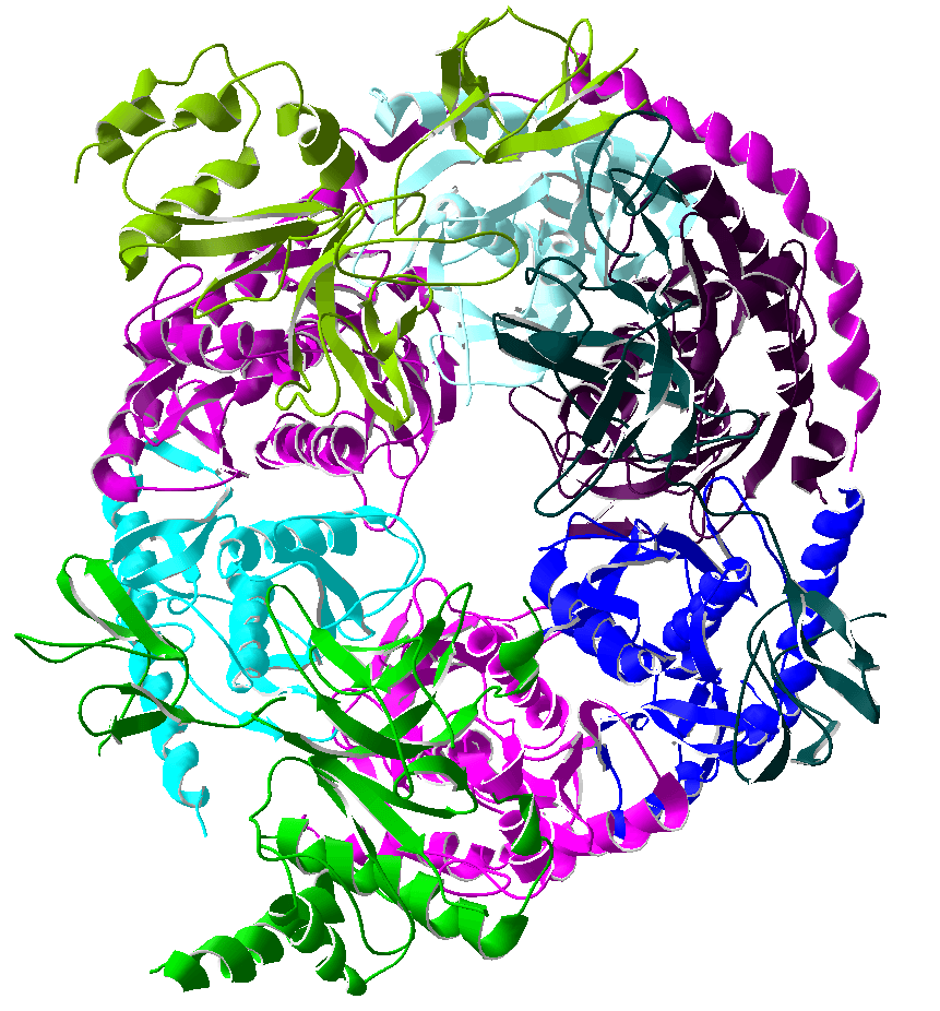 Exosome complex - Wikipedia