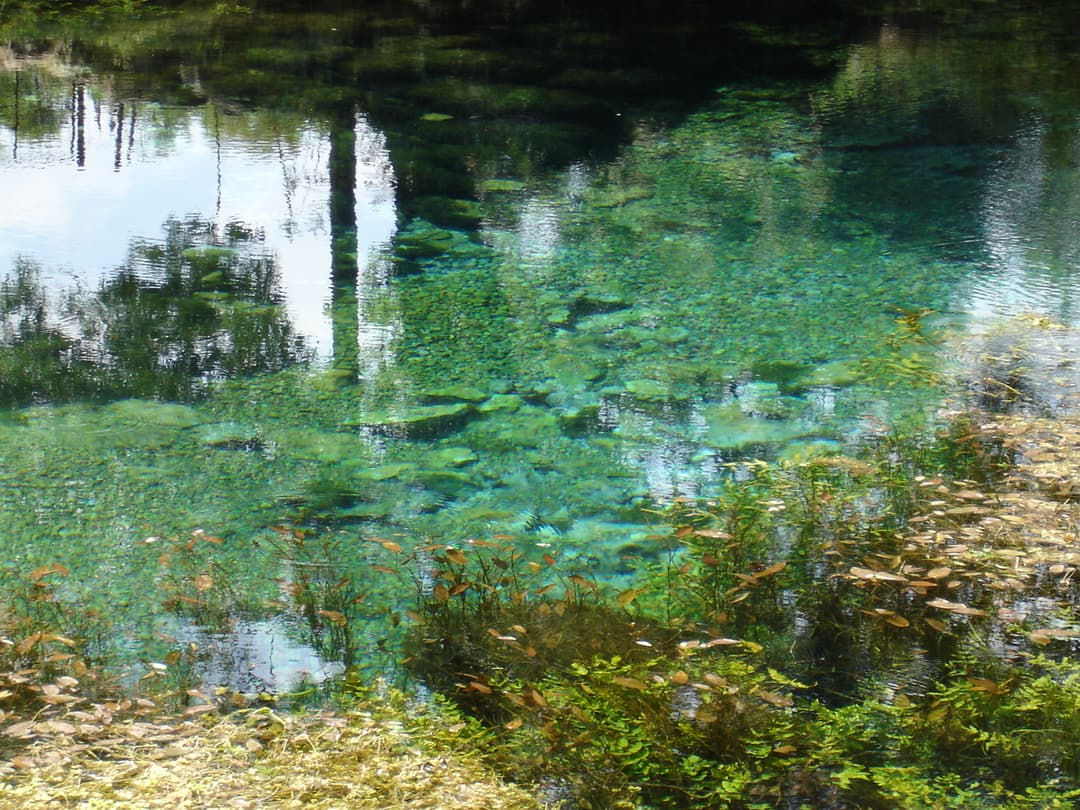Source (hydrologie) — Wikipédia