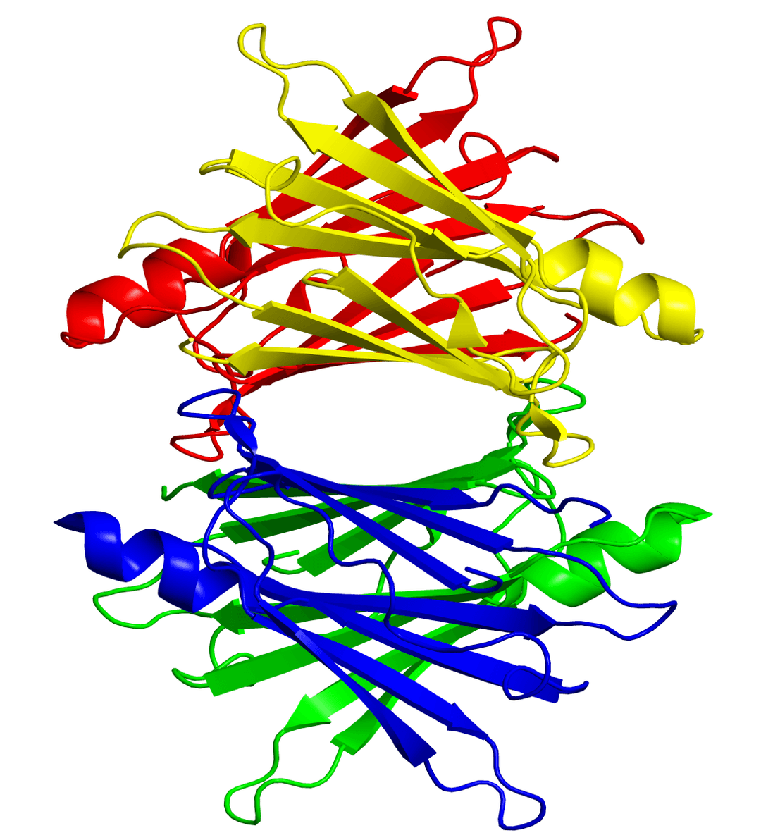 Transthyretin - Wikipedia
