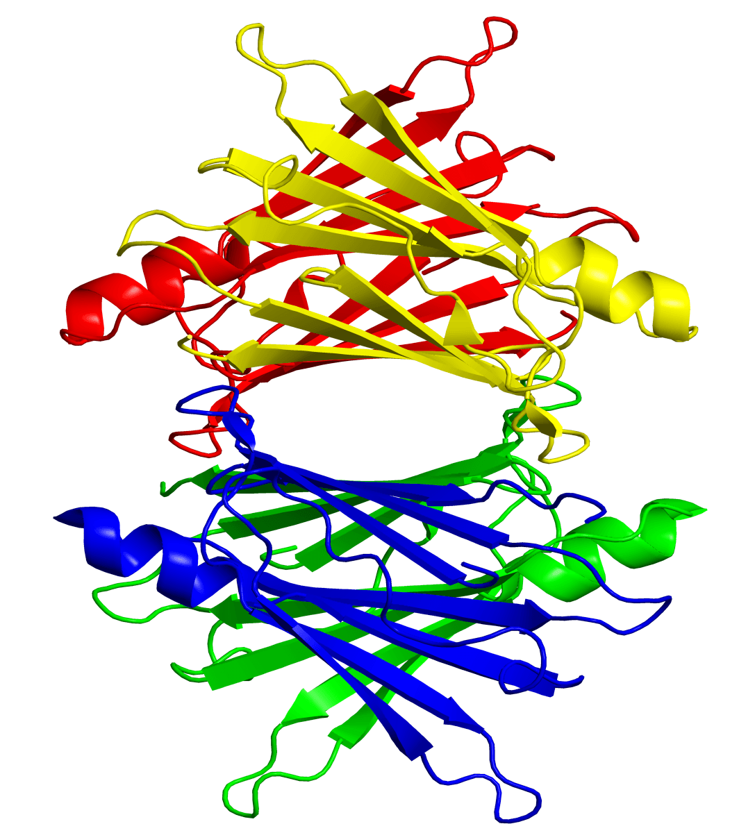 Transthyretin - Wikipedia