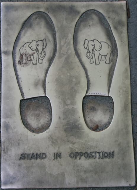 Opposition (politics) - Wikipedia