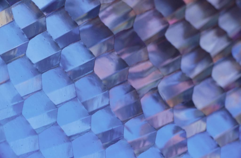 Honeycomb structure - Wikipedia