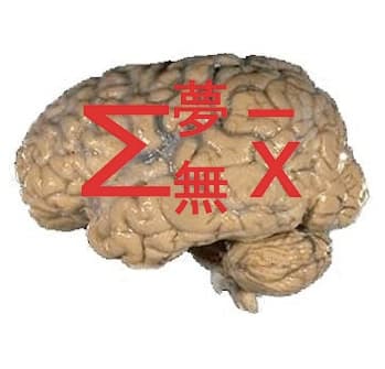 Computationnalisme — Wikipédia