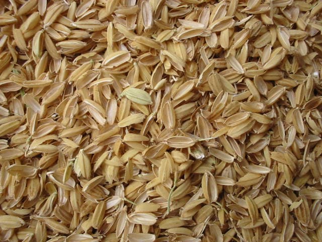 Balle de riz — Wikipédia