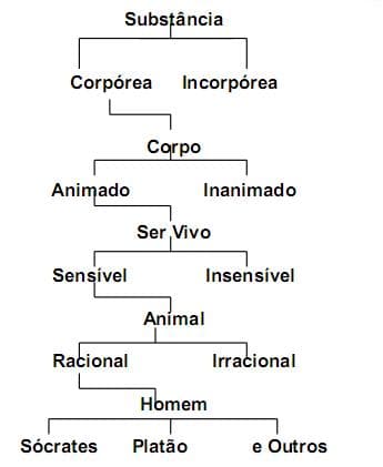 Classification — Wikipédia