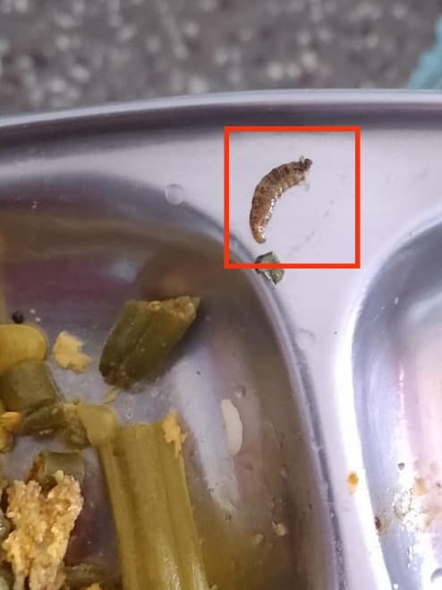 Food contaminant - Wikipedia