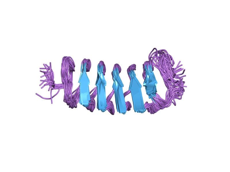 Antifreeze protein - Wikipedia