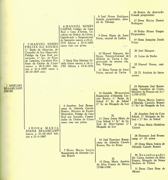 Pedigree chart - Wikipedia