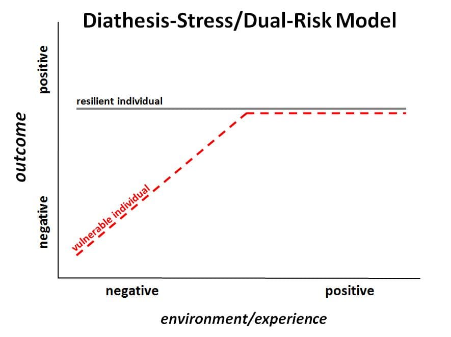 Diathesis–stress model - Wikipedia