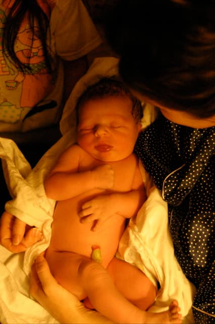 Accouchement assisté à domicile — Wikipédia