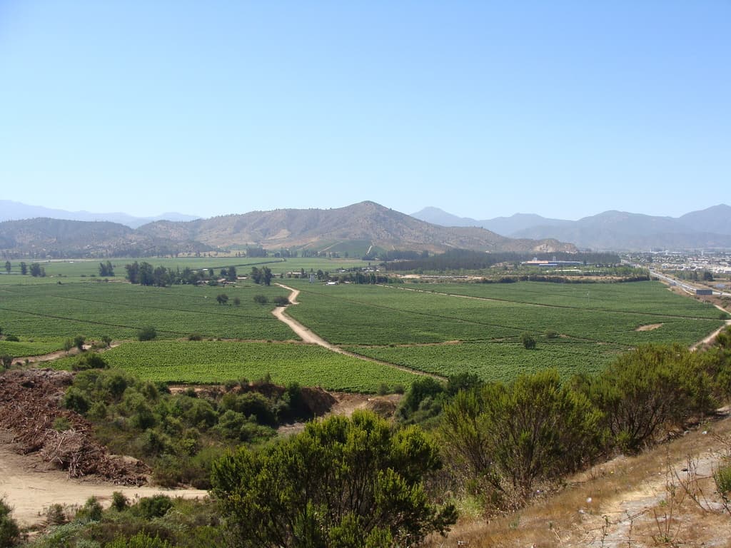 Viticulture au Chili — Wikipédia