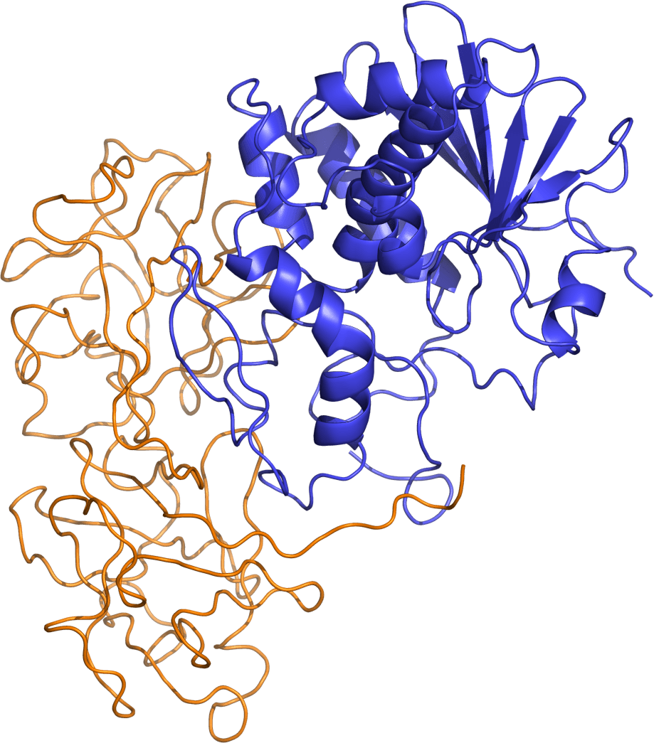 Ricin - Wikipedia