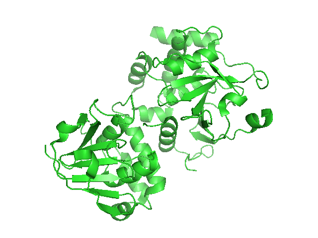 ARN-polymérase ARN-dépendante — Wikipédia