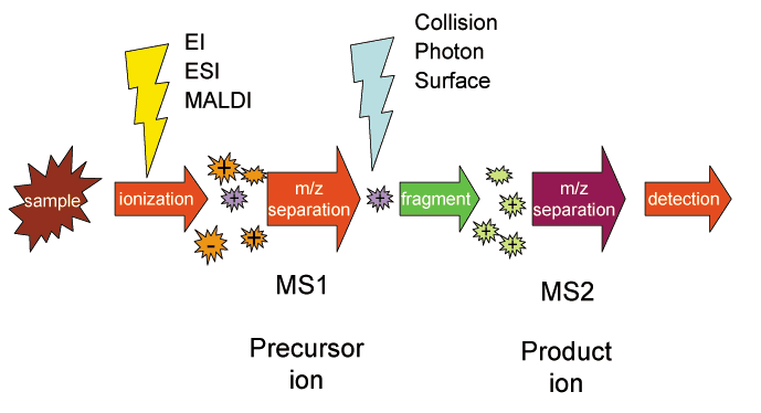 Selected reaction monitoring - Wikipedia