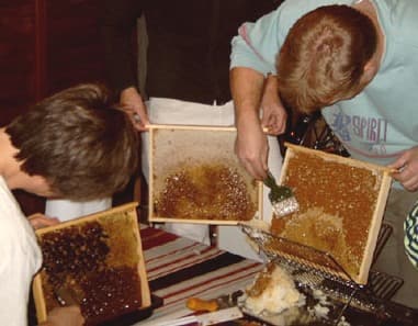 Honey super - Wikipedia