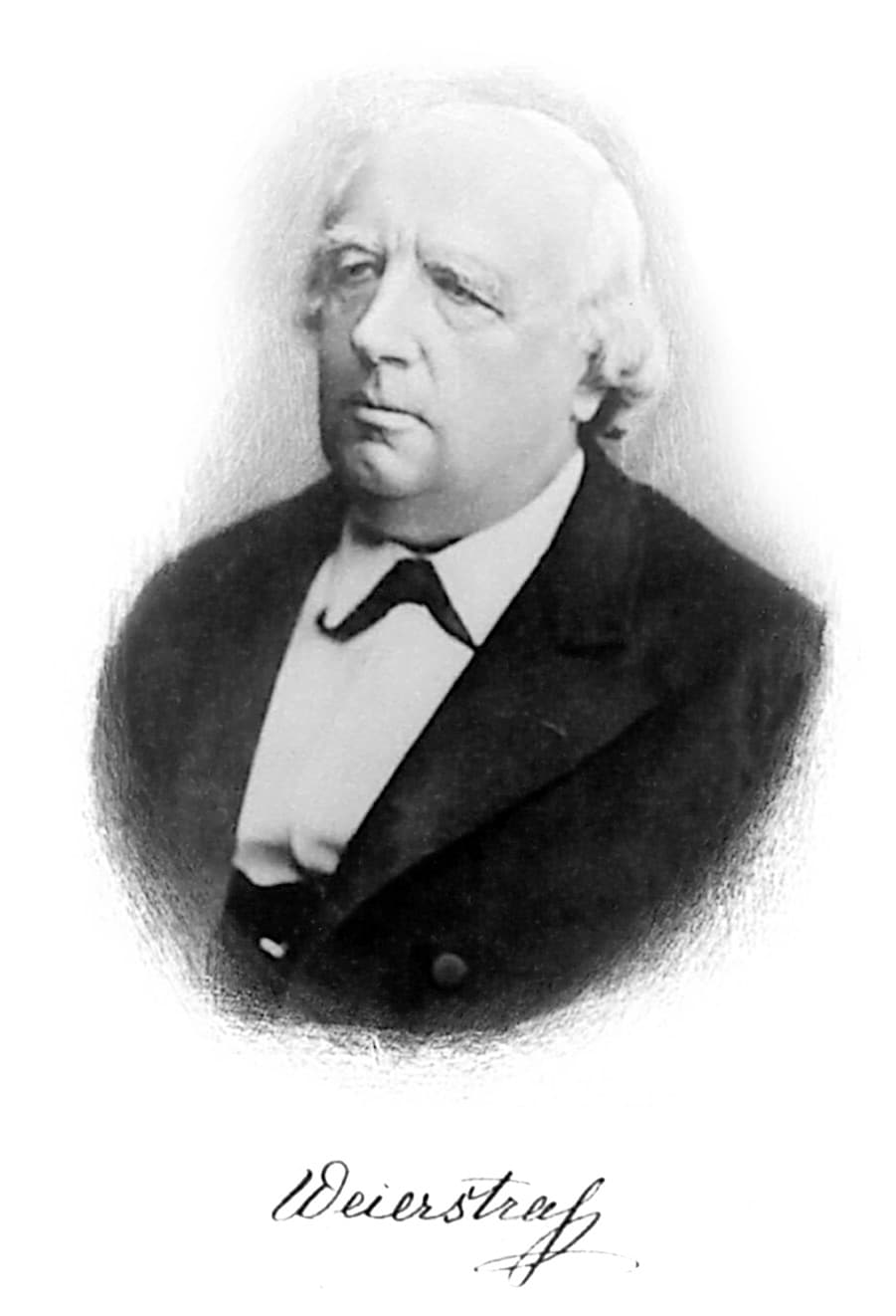 Karl Weierstrass — Wikipédia