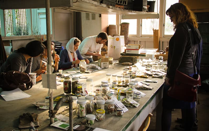 Seed library - Wikipedia